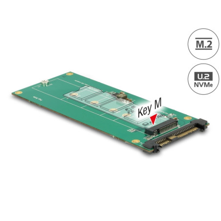 Delock Konverter U.2 SFF-8639 NVMe - 1 x M.2 Key M