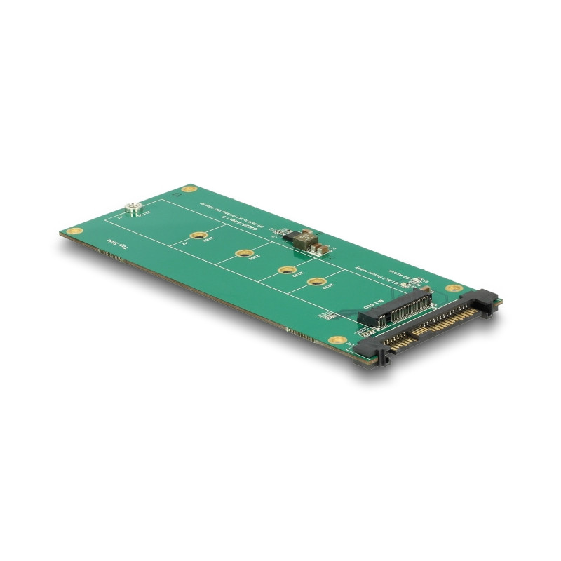 Delock Konverter U.2 SFF-8639 NVMe - 1 x M.2 Key M