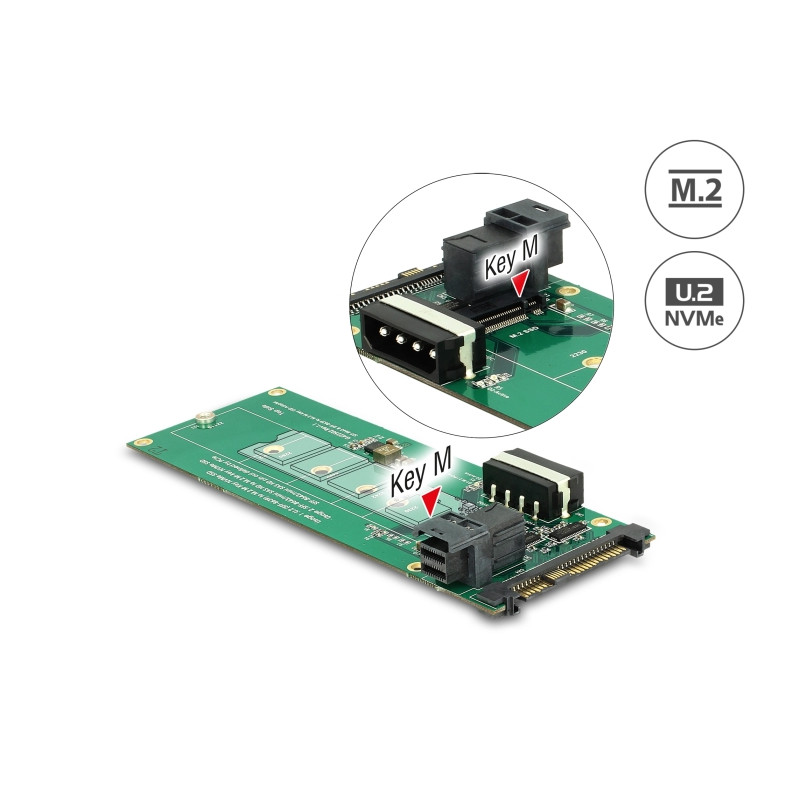 Delock Konverter U.2 SFF-8639 / SFF-8643 NVMe - 1 x M.2 Key M