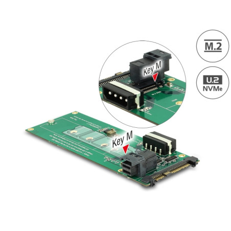Delock Konverter U.2 SFF-8639 / SFF-8643 NVMe - 1 x M.2 Key M