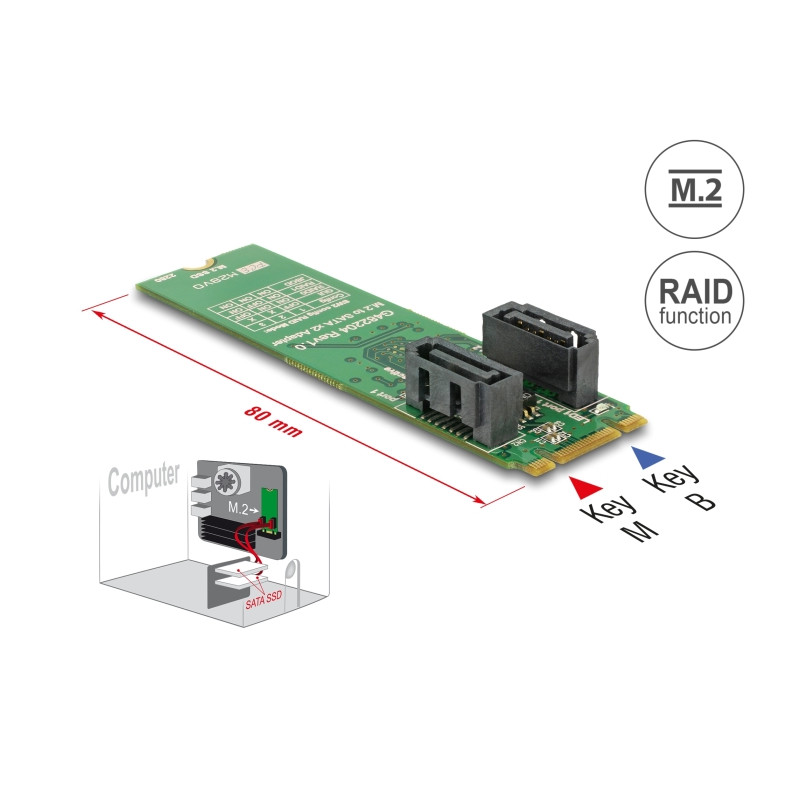 Delock Konverter M.2 Key B+M Stecker - 2 x SATA 7 Pin Stecker mit RAID