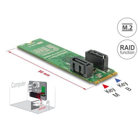 Delock Konverter M.2 Key B+M Stecker - 2 x SATA 7 Pin Stecker mit RAID