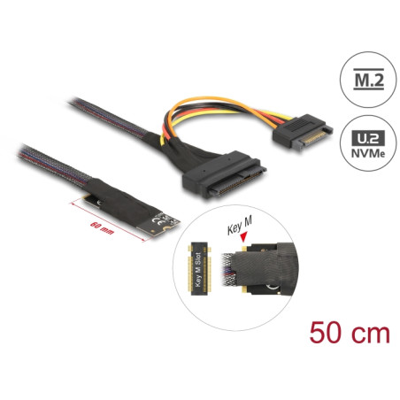 Delock M.2 Key M zu U.2 SFF-8639 NVMe Adapter mit 50 cm Kabel