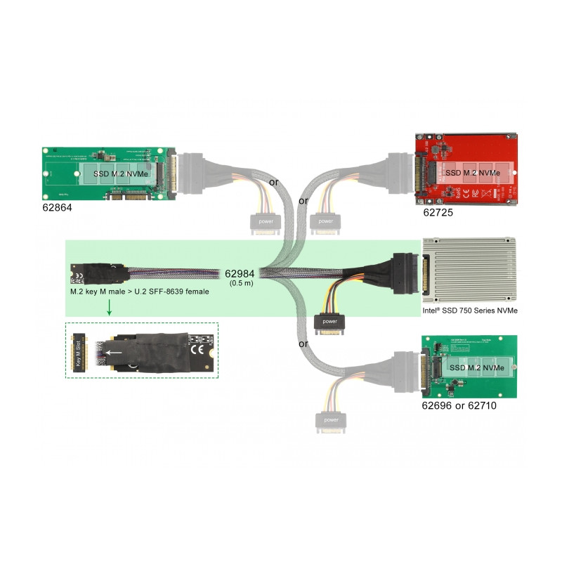 Delock M.2 Key M zu U.2 SFF-8639 NVMe Adapter mit 50 cm Kabel
