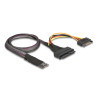 Delock M.2 Key M zu U.2 SFF-8639 NVMe Adapter mit 50 cm Kabel