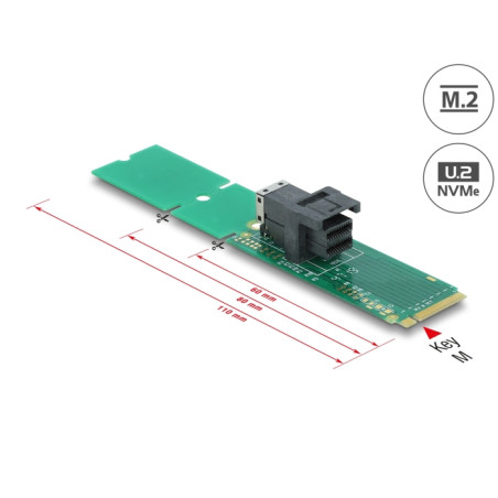 Delock Adapter M.2 Key M zu SFF-8643 NVMe 22110 / 2280 / 2260