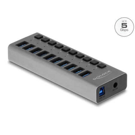 Delock Externer 5 Gbps USB Hub mit 10 Ports + Schalter