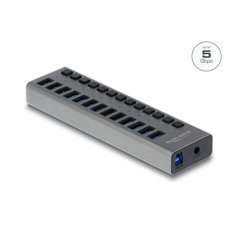 Delock Externer USB 5 Gbps Hub mit 13 Ports + Schalter