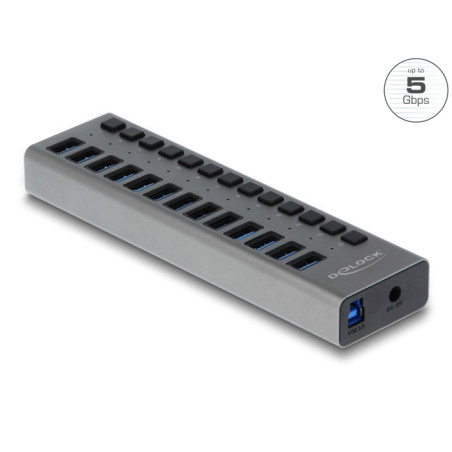 Delock Externer USB 5 Gbps Hub mit 13 Ports + Schalter