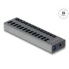 Delock Externer USB 5 Gbps Hub mit 13 Ports + Schalter
