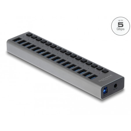 Delock Externer USB 5 Gbps Hub mit 16 Ports + Schalter