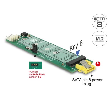 Delock Konverter SATA Pin 8 Power Buchse - M.2 Key B Slot