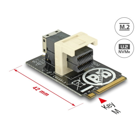 Delock Adapter M.2 Key M - SFF-8643 NVMe horizontal 2242