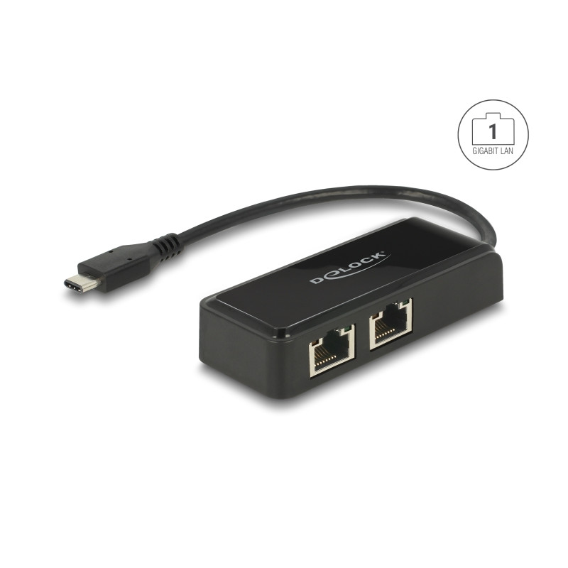 Delock USB Type-C™ Netzwerk Adapter Gigabit LAN 2 x RJ45