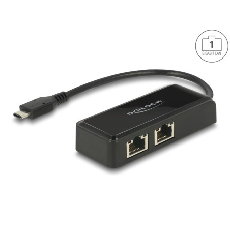 Delock USB Type-C™ Netzwerk Adapter Gigabit LAN 2 x RJ45