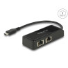 Delock USB Type-C™ Netzwerk Adapter Gigabit LAN 2 x RJ45