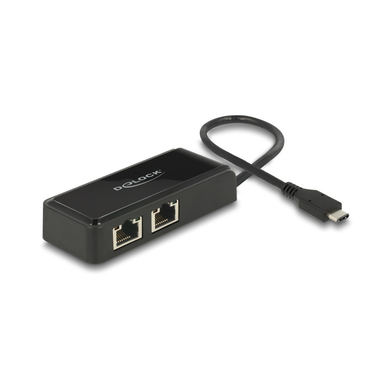 Delock USB Type-C™ Netzwerk Adapter Gigabit LAN 2 x RJ45