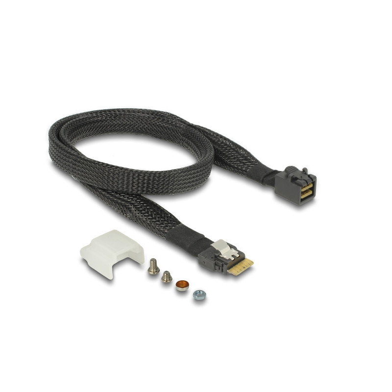 Delock U.2 SFF-8654 oder SATA Konverter zu 1 x M.2 Key M Slot