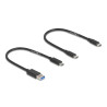 Delock M.2 Dockingstation für M.2 NVMe PCIe SSD mit USB Type-C™ Buchse