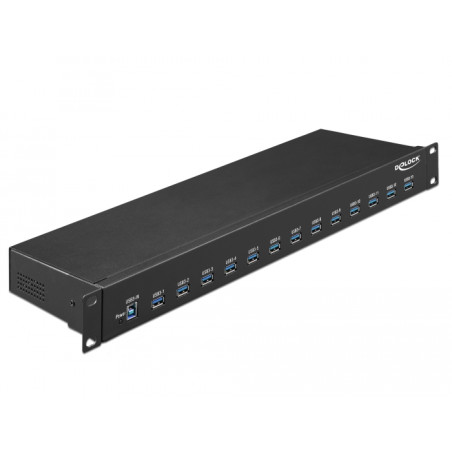 Delock 19″ Industrie Hub 13 x USB 5 Gbps Typ-A