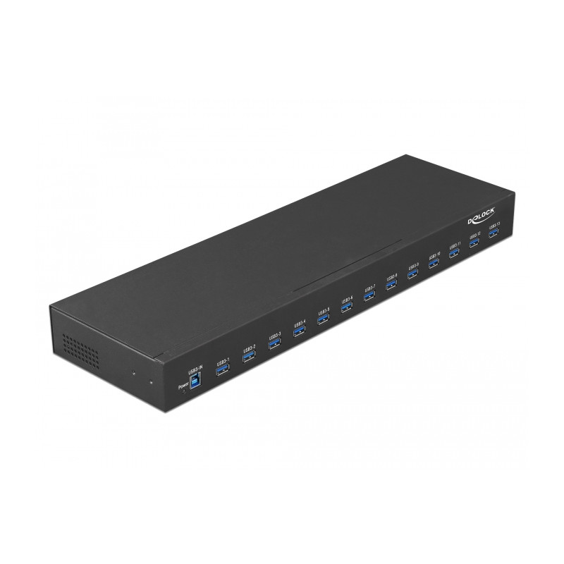 Delock 19″ Industrie Hub 13 x USB 5 Gbps Typ-A