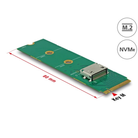 Delock M.2 Key M zu 1 x OCuLink SFF-8612 Konverter