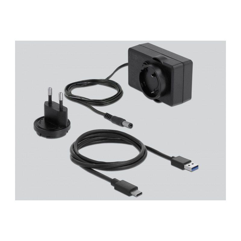 Delock USB Type-C™ Dockingstation für 2 x SATA HDD / SSD transparent