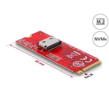 Delock M.2 Key M zu 1 x OCuLink SFF-8612 Konverter