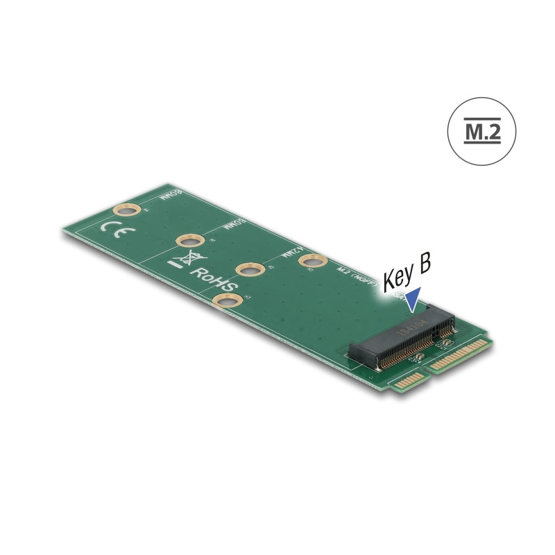 Delock Adapter mSATA zu M.2 Key B Slot