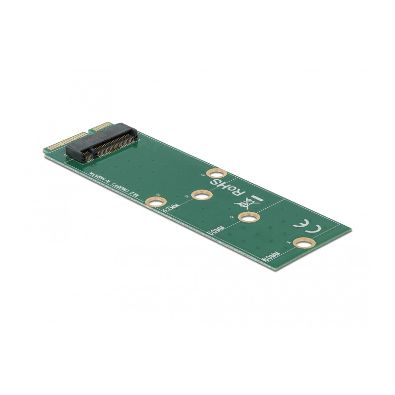 Delock Adapter mSATA zu M.2 Key B Slot