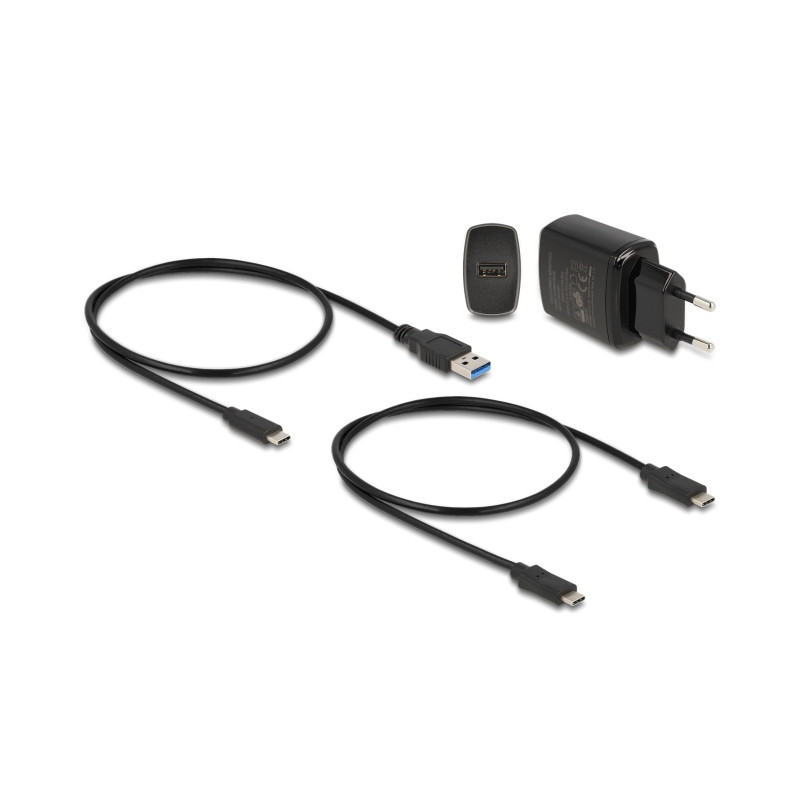 Delock M.2 Dockingstation für 2 x M.2 NVMe PCIe SSD mit Klon Funktion