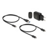Delock M.2 Dockingstation für 2 x M.2 SATA SSD mit Klon Funktion