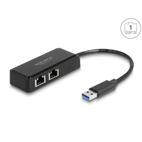 Delock USB Typ-A Netzwerk Adapter Gigabit LAN 2 x RJ45
