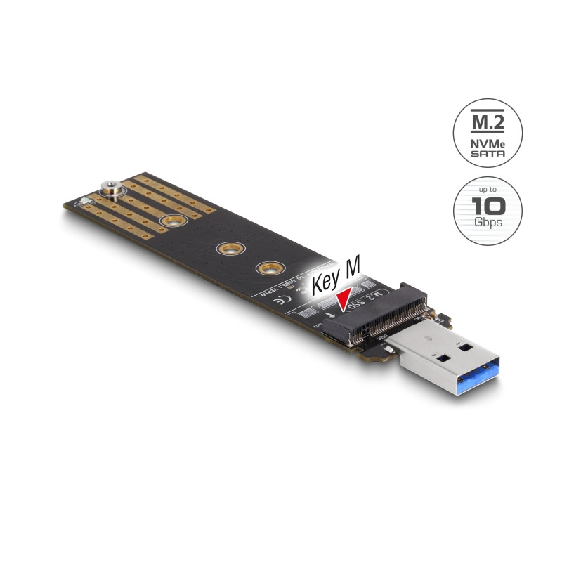 Delock Combo Konverter für M.2 NVMe PCIe oder SATA SSD mit USB 10 Gbps