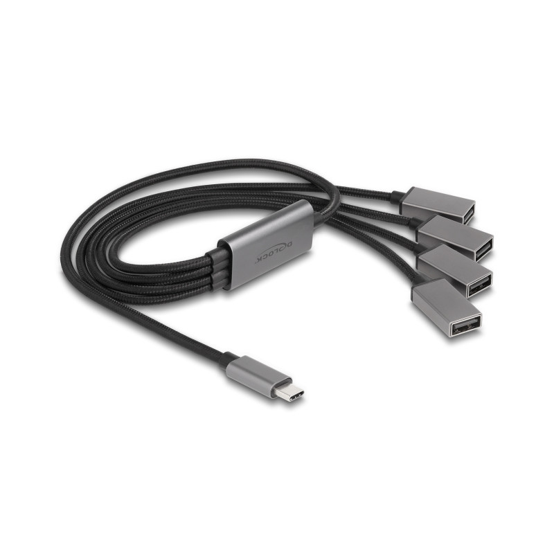 Delock 4 Port USB 2.0 Kabel-Hub mit USB Type-C™ Anschluss 60 cm