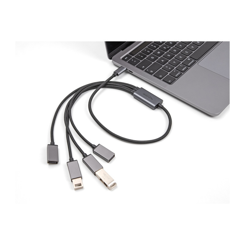 Delock 4 Port USB 2.0 Kabel-Hub mit USB Type-C™ Anschluss 60 cm