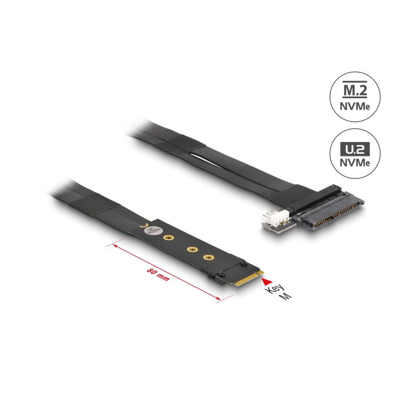 Delock M.2 Key M zu U.2 SFF-8639 NVMe Adapter mit 20 cm Kabel