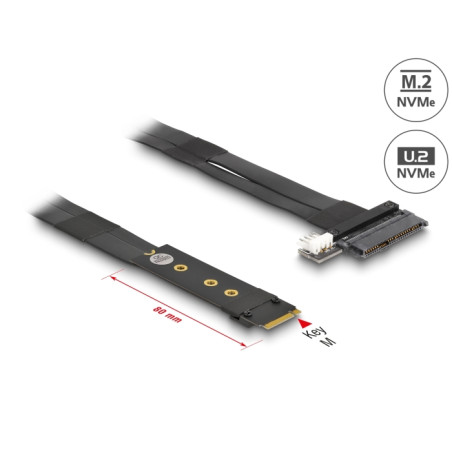 Delock M.2 Key M zu U.2 SFF-8639 NVMe Adapter mit 20 cm Kabel