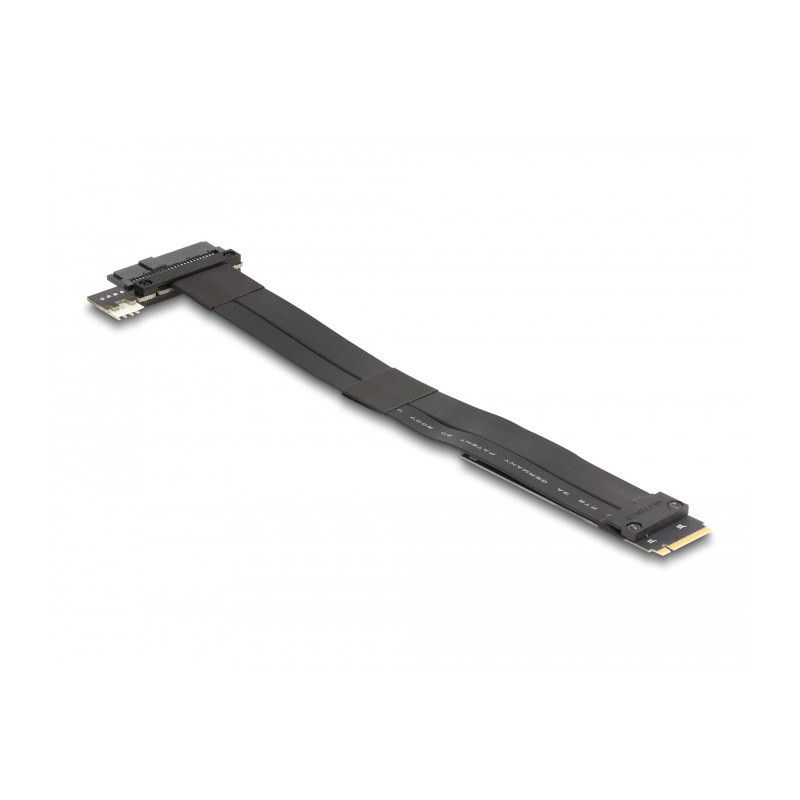 Delock M.2 Key M zu U.2 SFF-8639 NVMe Adapter mit 20 cm Kabel