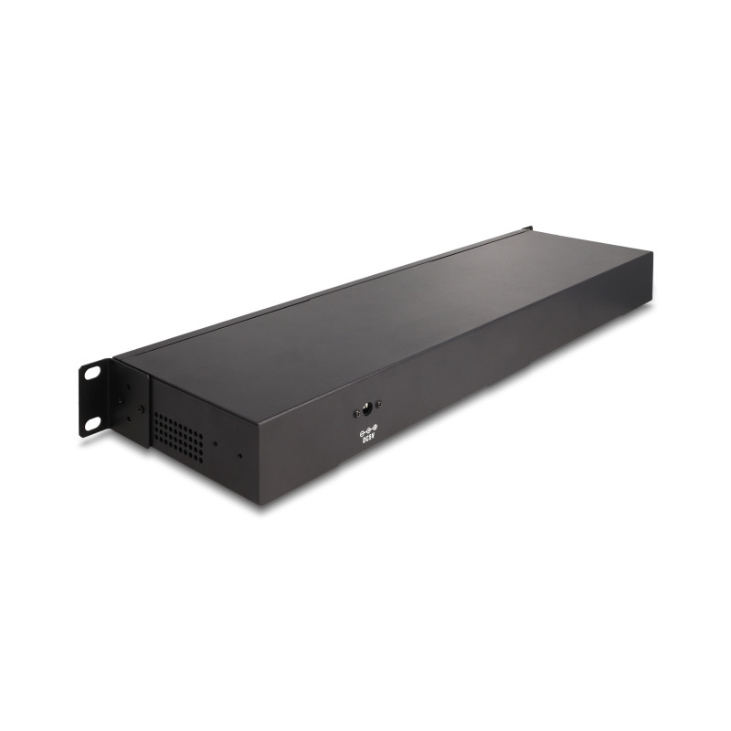 Delock 19″ Industrie Hub 10 x USB 10 Gbps Typ-A