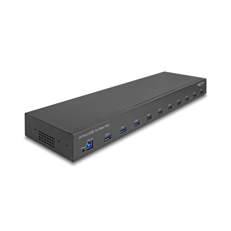 Delock 19″ Industrie Hub 10 x USB 10 Gbps Typ-A