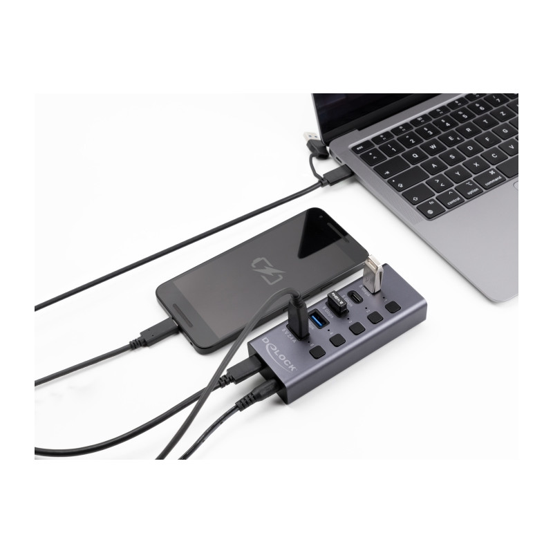 Delock USB 5 Gbps Hub mit 2 x USB Typ-A und 2 x USB Type-C™ Buchse und 1 x Schnellladeport + Schalter