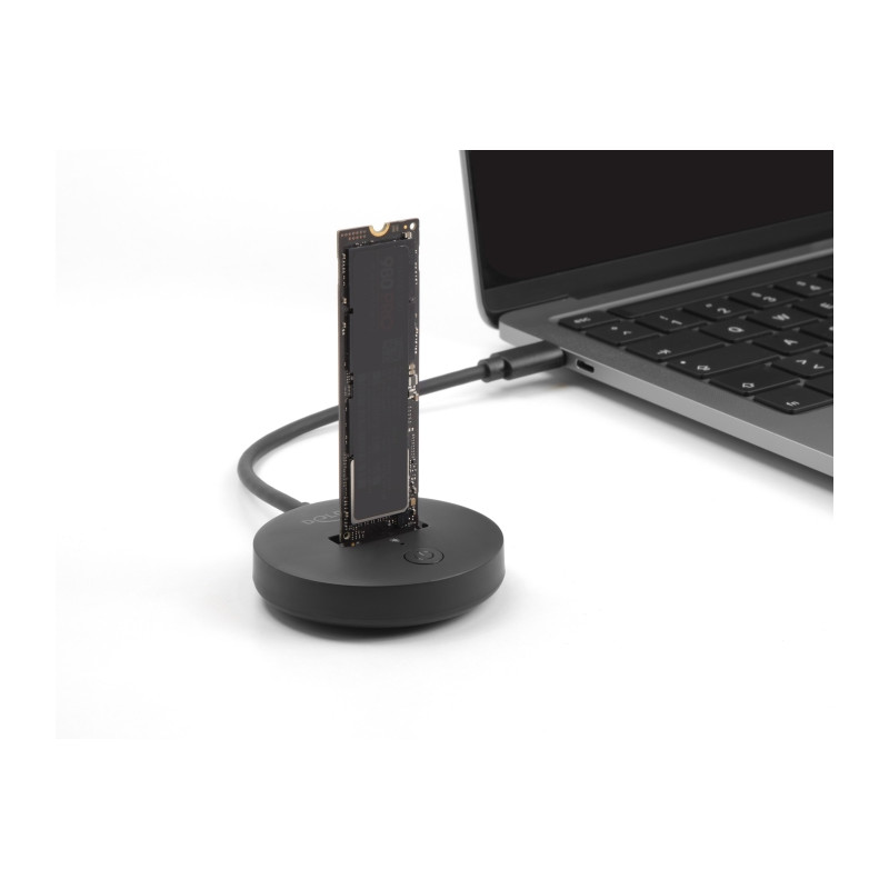 Delock M.2 Dockingstation für M.2 NVMe / SATA SSD mit USB 10 Gbps USB Type-C™ Stecker