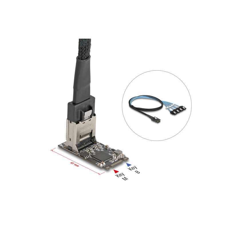 Delock M.2 2242 Key B+M Kontroller zu 4 x SATA mit 1 m Kabel