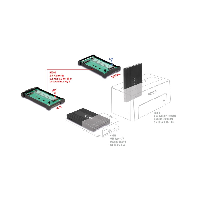 Delock Konverter M.2 Key M NVMe SSD zu U.2 oder M.2 Key B SATA SSD zu SATA - werkzeugfrei