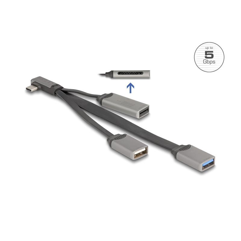 Delock 2 Port USB Hub inklusive SD und Micro SD Card Reader mit USB Type-C™ Anschluss