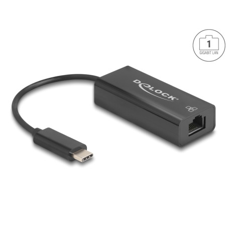 Delock USB 2.0 Type-C™ Netzwerk Adapter 10/100 Mbps LAN 1 x RJ45
