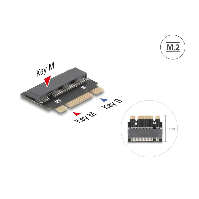 Delock Adapter M.2 Key B+M Stecker zu M.2 Key M Slot - Verlängerung