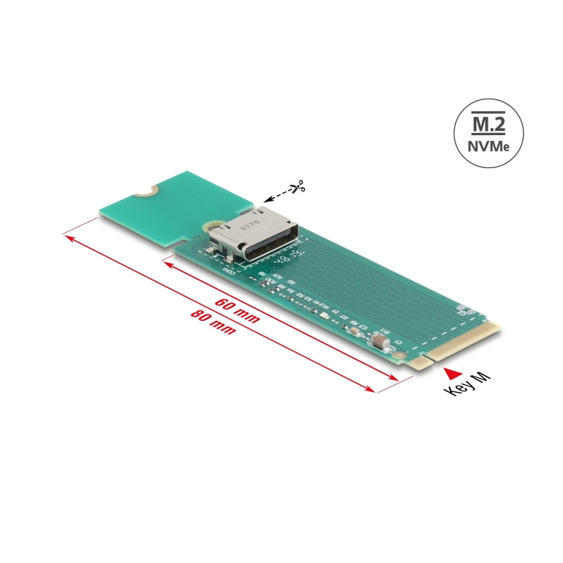 Delock M.2 Key M zu 1 x OCuLink SFF-8612 Konverter