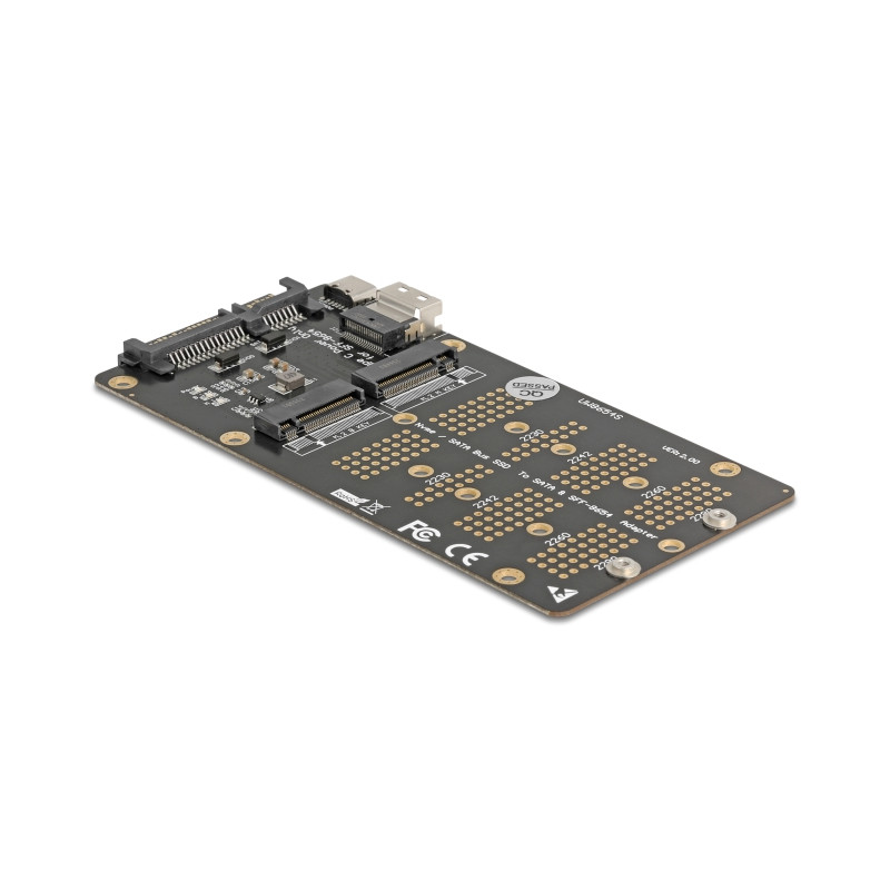 Delock Konverter M.2 Key M NVMe SSD zu SFF-8654 und M.2 Key B SATA SSD zu SATA
